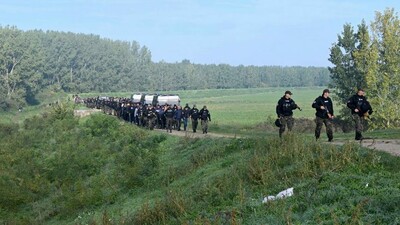 Plus de 200 migrants ont été arrêtés par les forces de l'ordre mercredi 5 octobre, dans le nord de la Serbie. Crédit : ministère serbe de l'Intérieur
